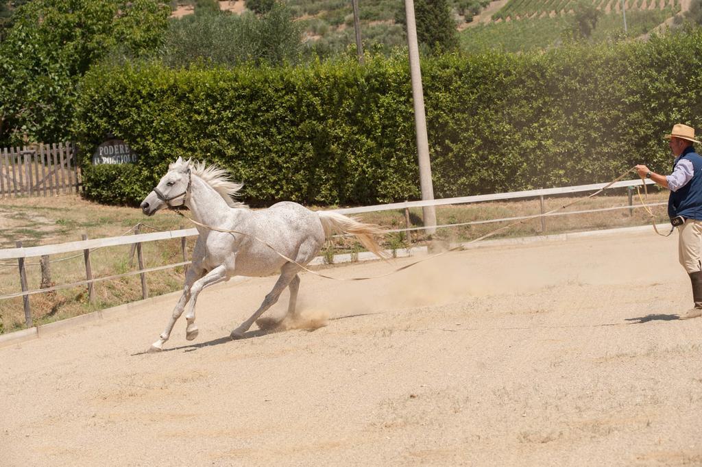 루피나 Podere Il Poggiolo 빌라 외부 사진